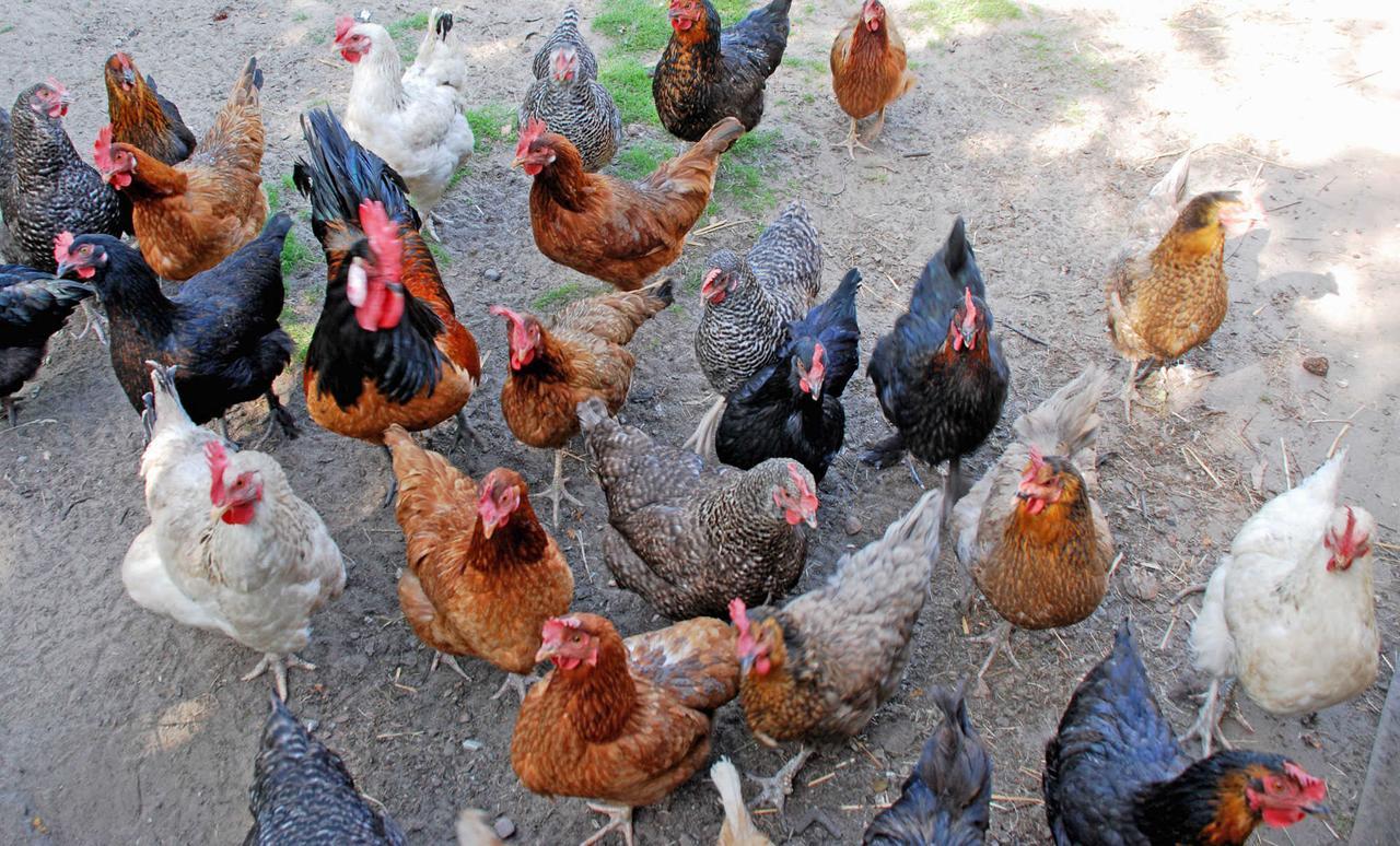 Ferienwohnungen An Der Hagenschen Middelhagen Zewnętrze zdjęcie